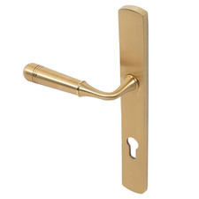 lever door handle on backplate